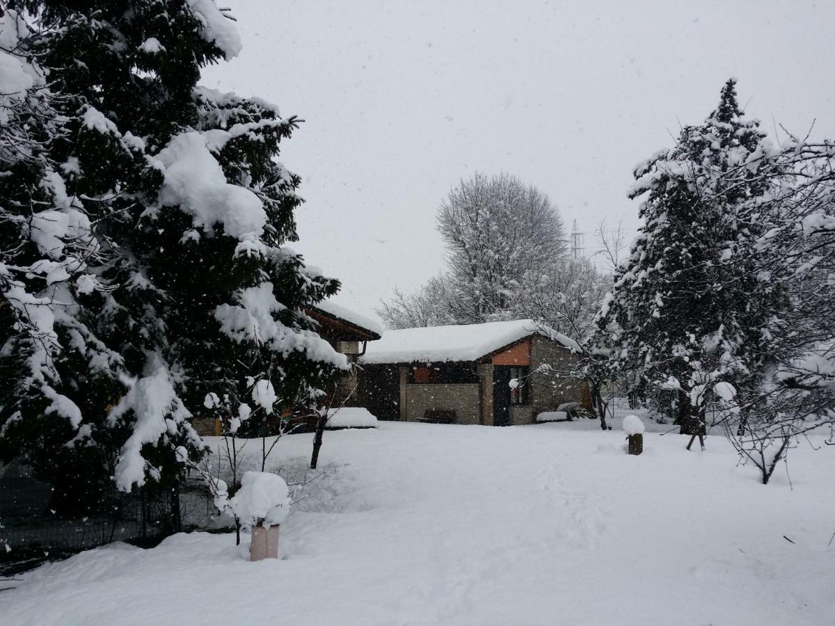 R&B Albero Cavo Parma Bed & Breakfast Exterior photo