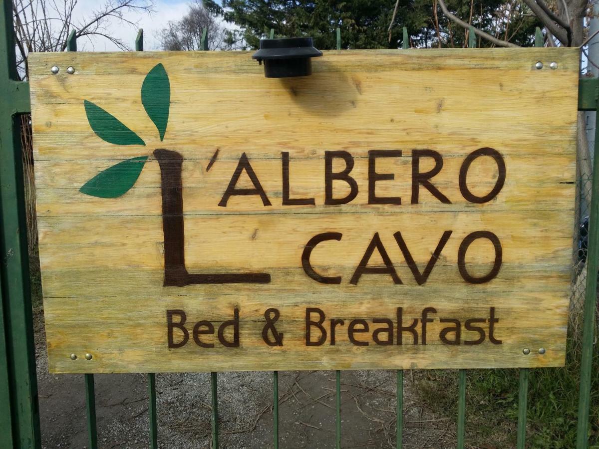 R&B Albero Cavo Parma Bed & Breakfast Exterior photo