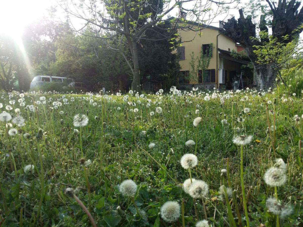 R&B Albero Cavo Parma Bed & Breakfast Exterior photo