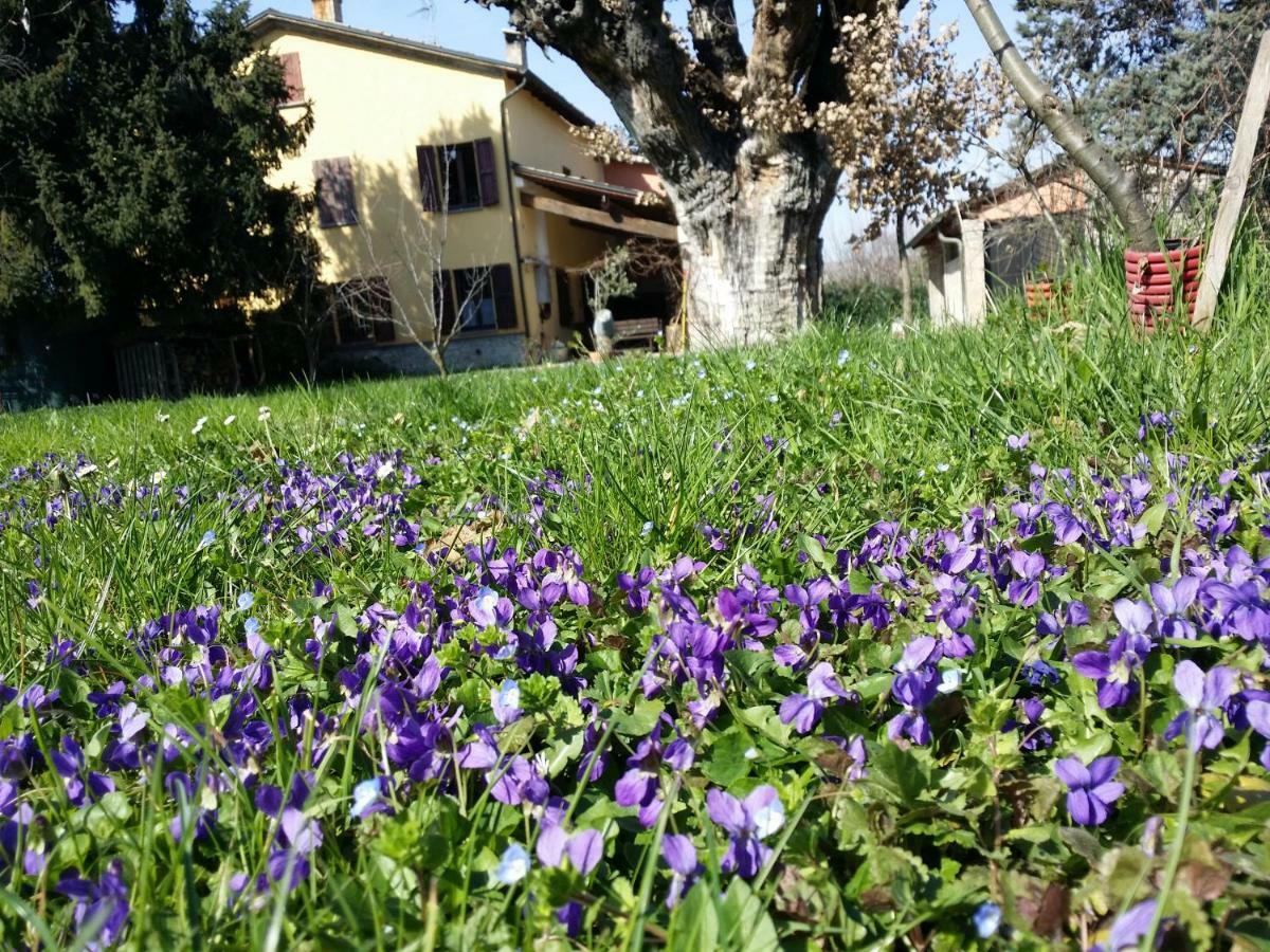 R&B Albero Cavo Parma Bed & Breakfast Exterior photo