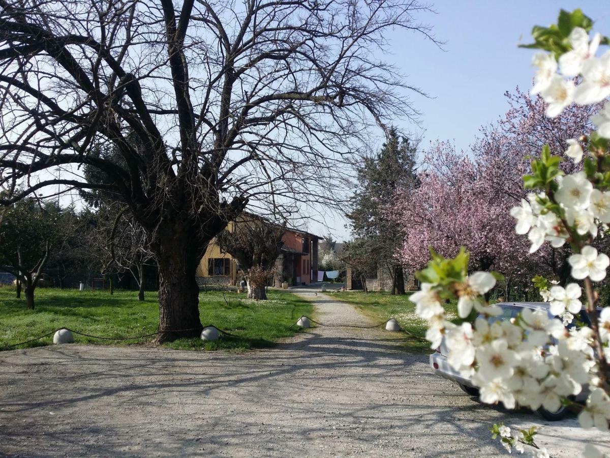 R&B Albero Cavo Parma Bed & Breakfast Exterior photo